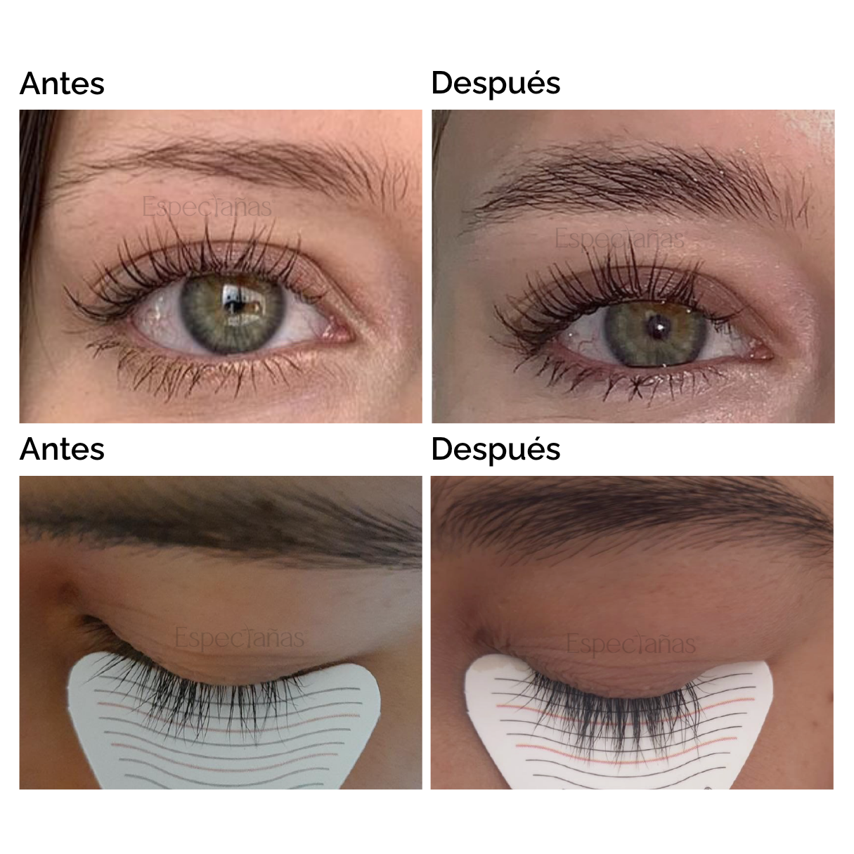 Antes y después usando óleo Espectañas en pestañas y cejas